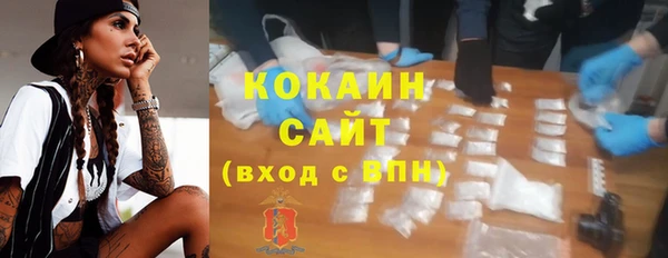PSILOCYBIN Вуктыл