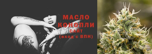 сатива Осинники