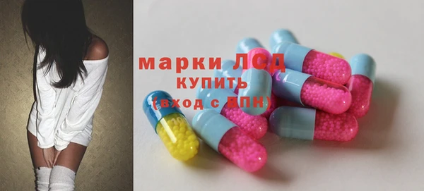 сатива Осинники