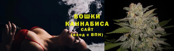 сатива Осинники