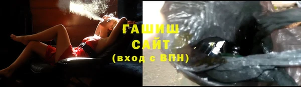сатива Осинники