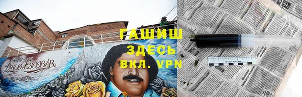 сатива Осинники
