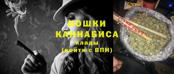 сатива Осинники