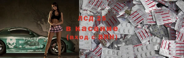 PSILOCYBIN Вуктыл