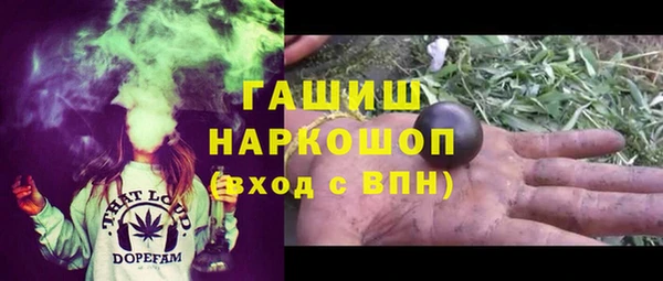 сатива Осинники