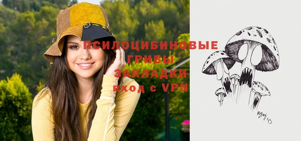 стаф Всеволожск